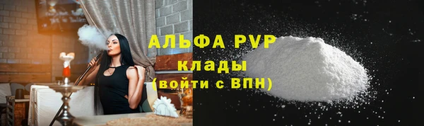 индика Абаза