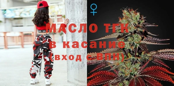 индика Абаза