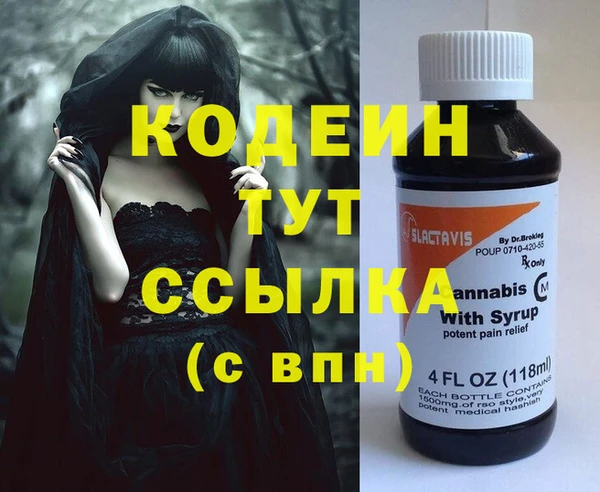 индика Абаза