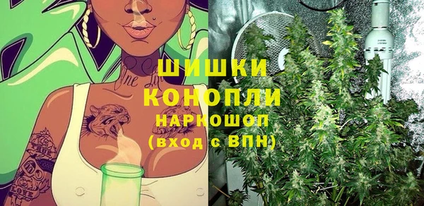 прущая мука Инта