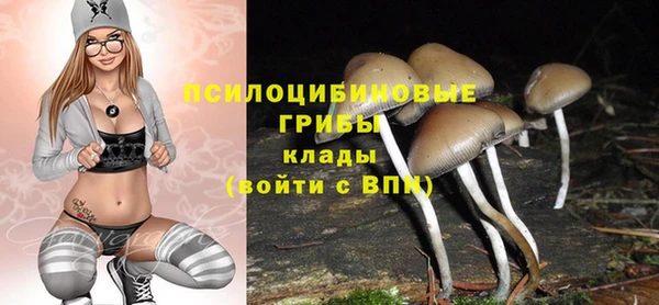 не бодяженный Алексин
