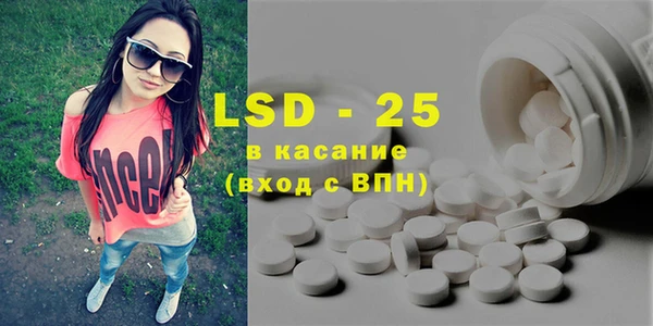 индика Абаза